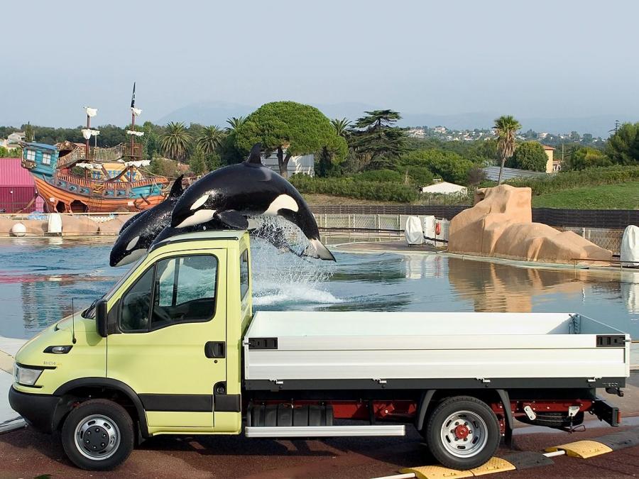  Iveco Daily Chassis Cab 2004 года  (фото 3 из 14)